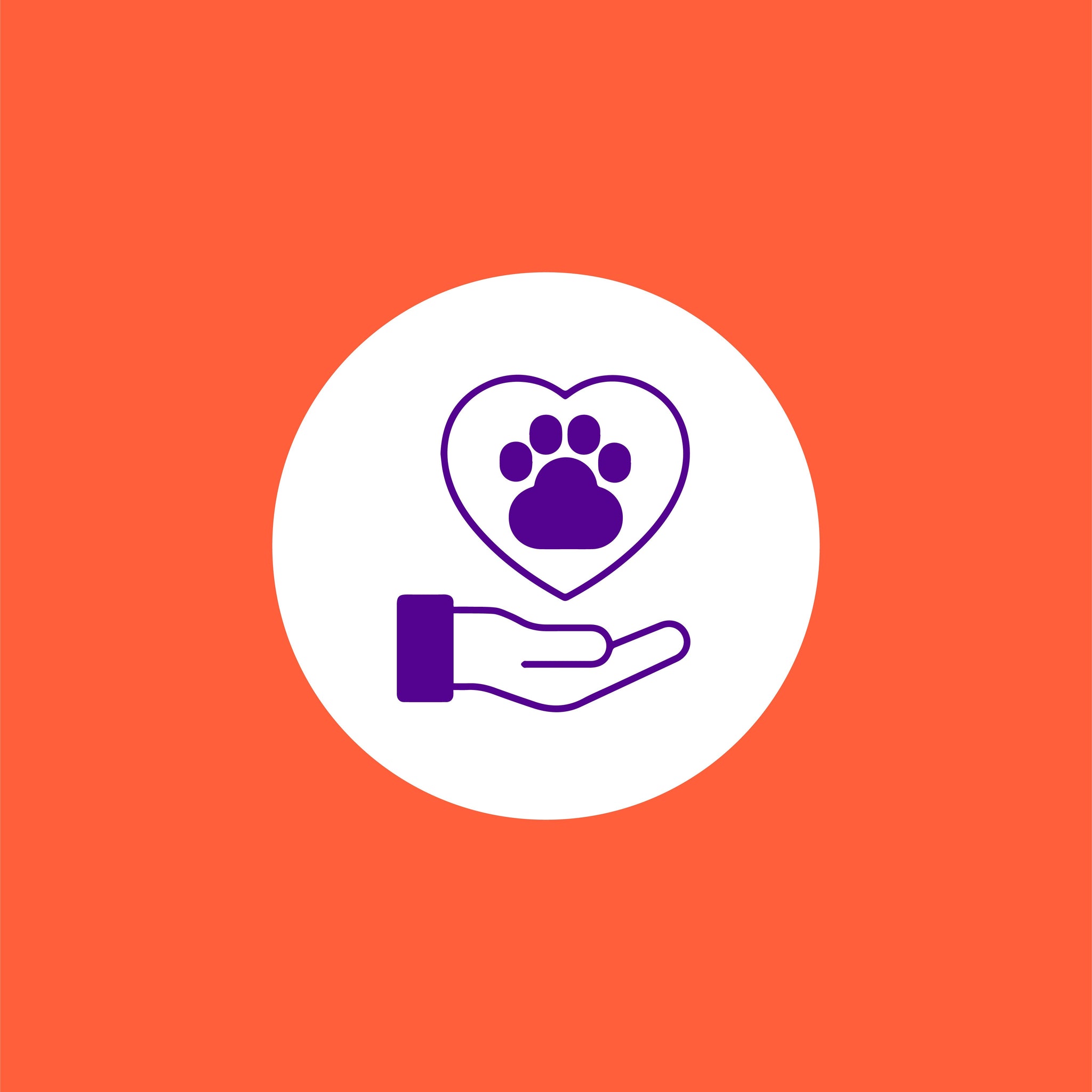 Pet Care Templates